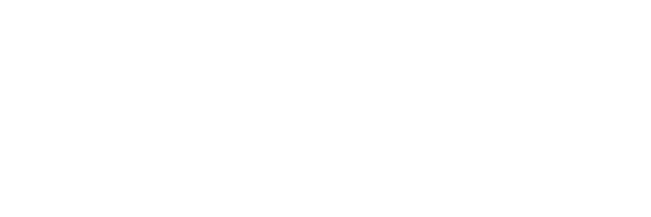 The Sun